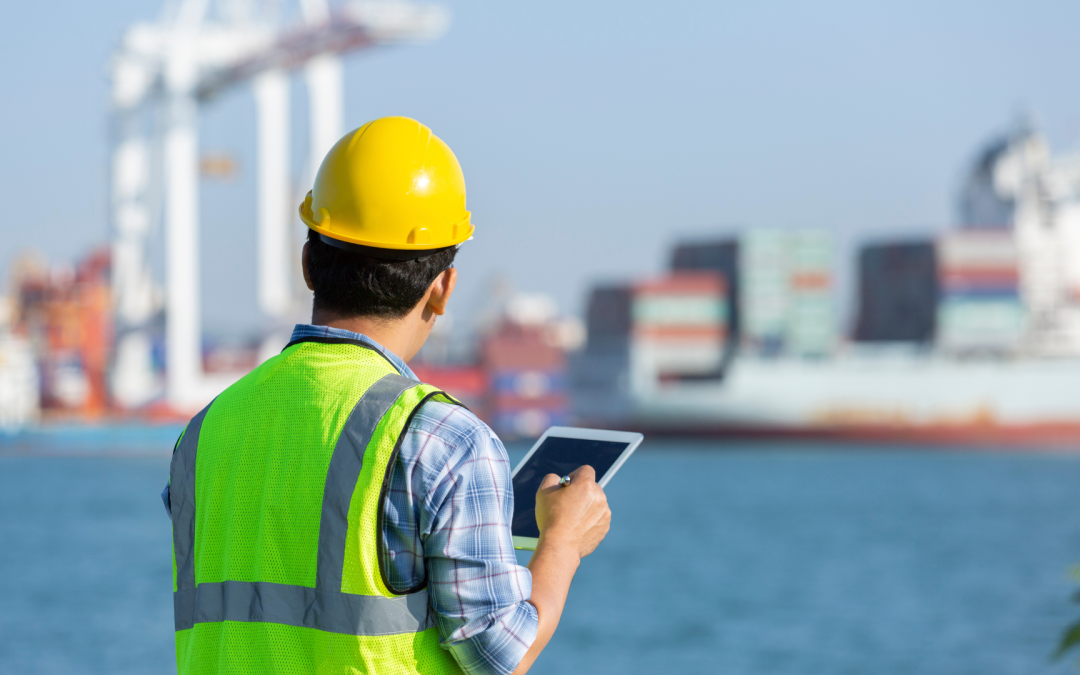 Pre-Shipment Inspection (PSI)